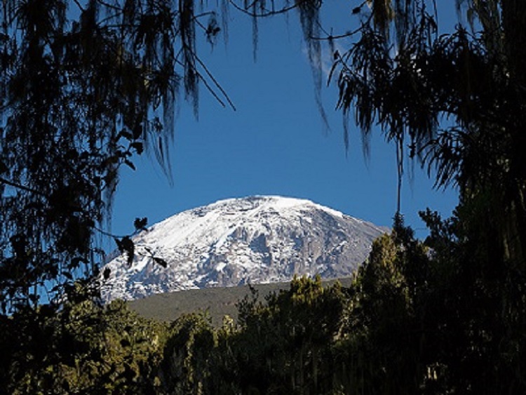 https://tanzanianaturaltours.com/wp-content/uploads/2023/06/kilimanjaro-climbing-umbwe-route.jpg
