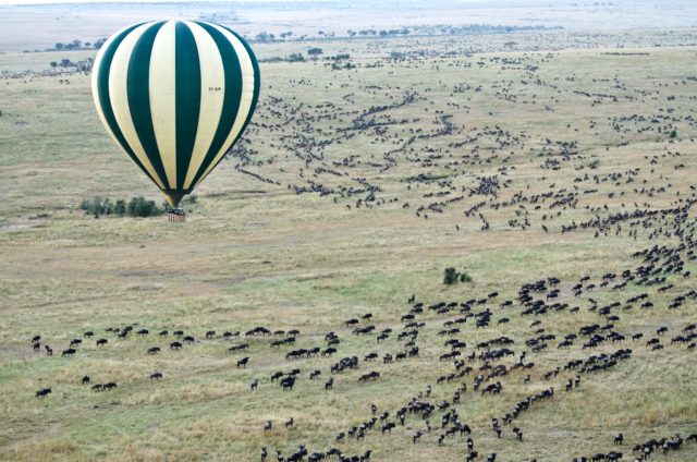 The greatest Serengeti Migration safari