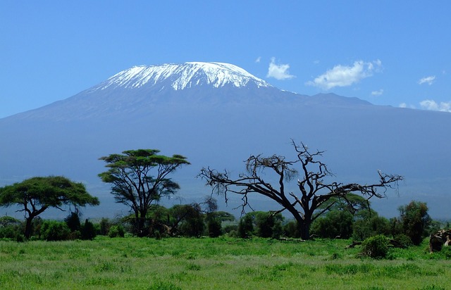 best 7 days Kilimanjaro climb