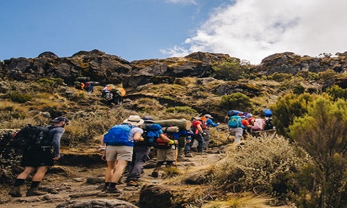 https://tanzanianaturaltours.com/wp-content/uploads/2023/07/joining-group-6-days-kilimanjaro-machame-route.jpg