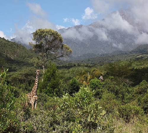 Mount Meru 1 day hike