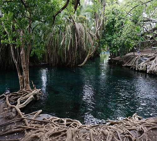 Chemka hot spring Tanzania day trip