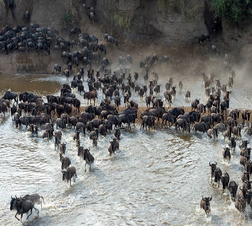 4 Days Serengeti Safari